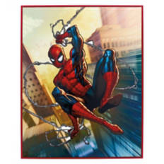 16" x 20" Wall Art - Spider Man