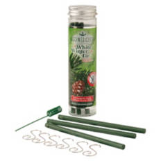 Scentsicles - White Winter Fir