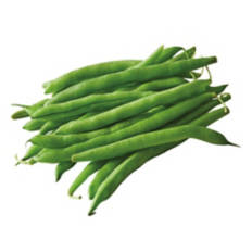 French  Green Beans, 1 lb