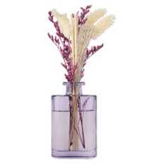 Botanical Reed Diffuser - Lazy Sunday, 3.4 fl oz