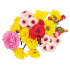 Celebration Flower Bouquet - Assorted Color