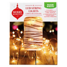 Christmas LED String Lights - Warm White with Copper Wire