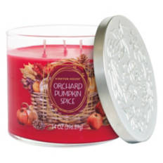 3 Wick Candle - Orchard Pumpkin Spice, 14 oz