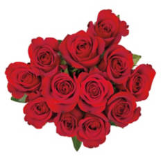 Valentine's Day 12 Stem Roses - Assorted Colors