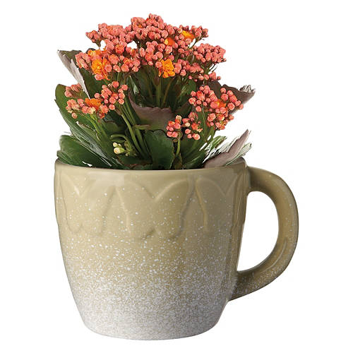  Product Image Front shot 02