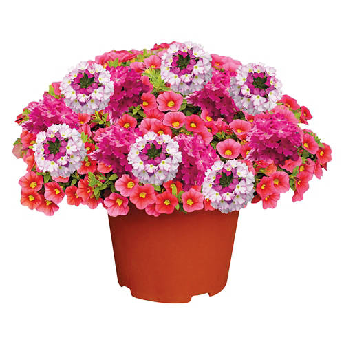  Product Image Front shot 02