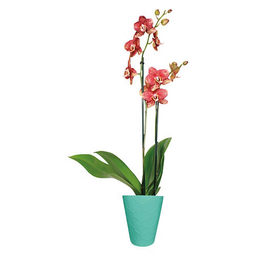  Product Image Front shot 02