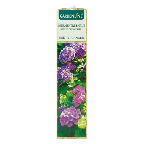  Product Image Front shot 03