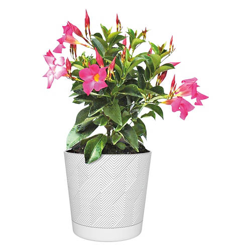  Product Image Front shot 02