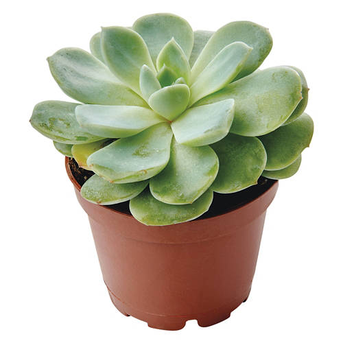  Product Image Front shot 03