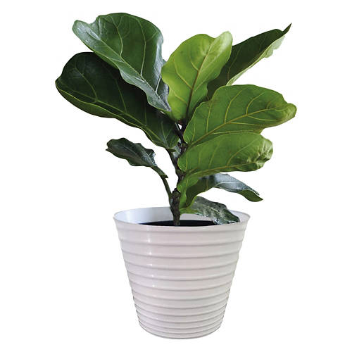  Product Image Front shot 04