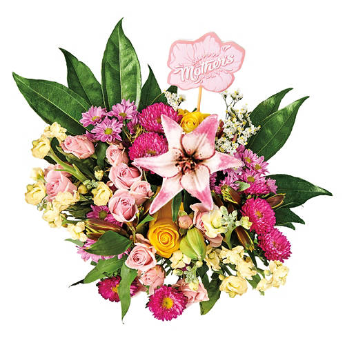  Product Image Front shot 04