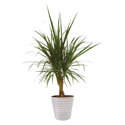  Product Image Front shot 03