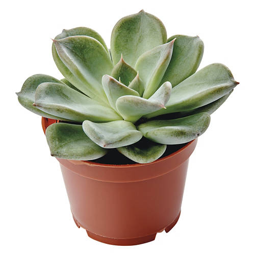  Product Image Front shot 04
