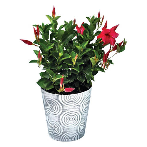  Product Image Front shot 03