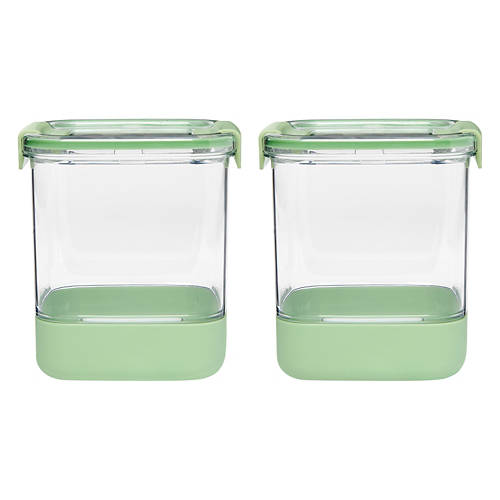 Small Food Storage Bins, 2 Pack