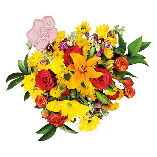  Product Image Front shot 02