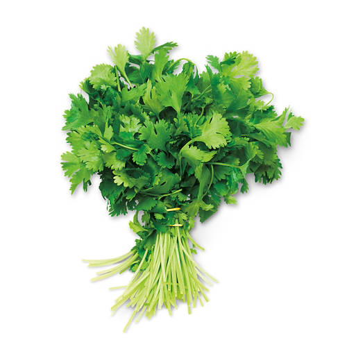 Cilantro Bunch, each