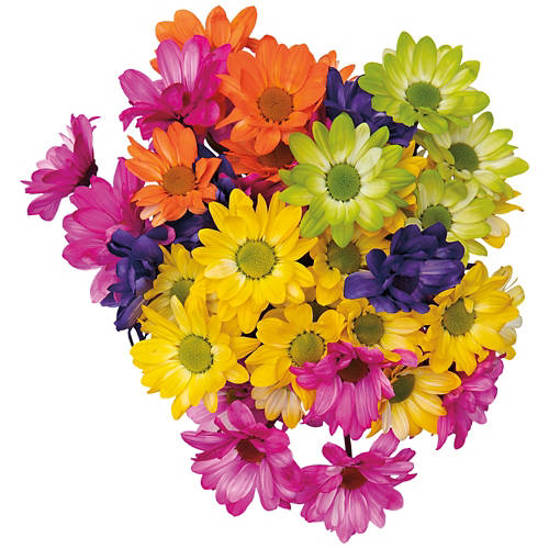 Assorted Flower Garden Bouquet Product Image Front shot 01