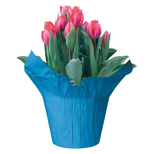  Product Image Front shot 03