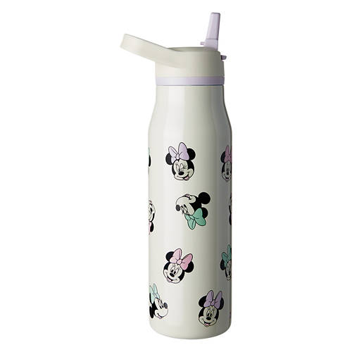 Character SS Bottle - Cream/Purple / Minnie Mouse