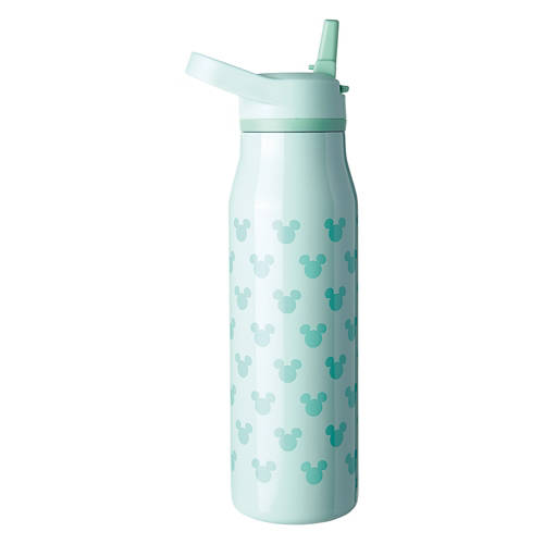 Mickey Mouse Stainless Steel Water Bottle, Teal
