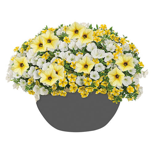  Product Image Front shot 04
