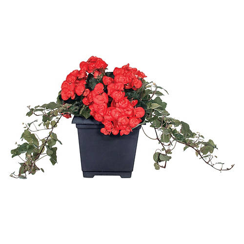  Product Image Front shot 03