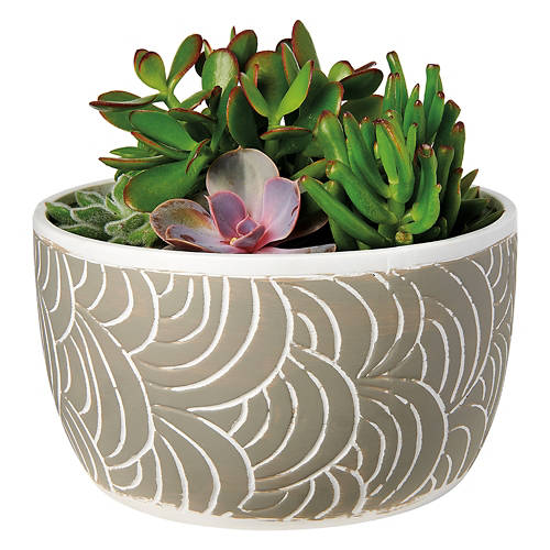 8" Succulent Garden