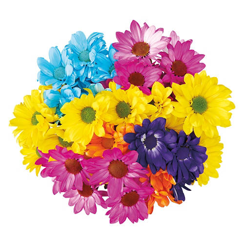  Product Image Front shot 02