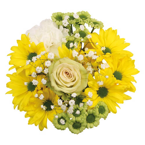  Product Image Front shot 02