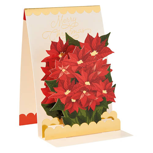 Pop Up Christmas Card - Poinsettia