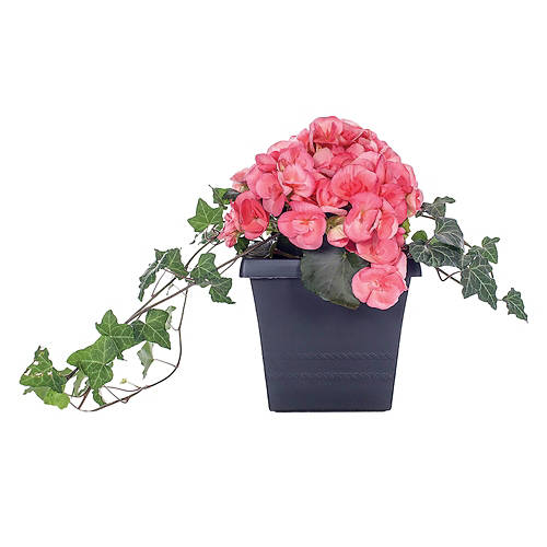  Product Image Front shot 02