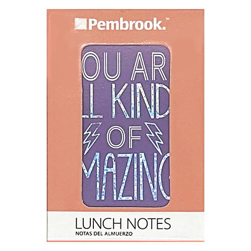 Inspirational Lunch Notes