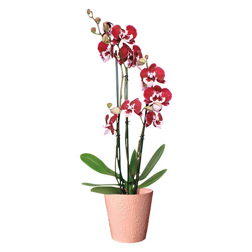  Product Image Front shot 03