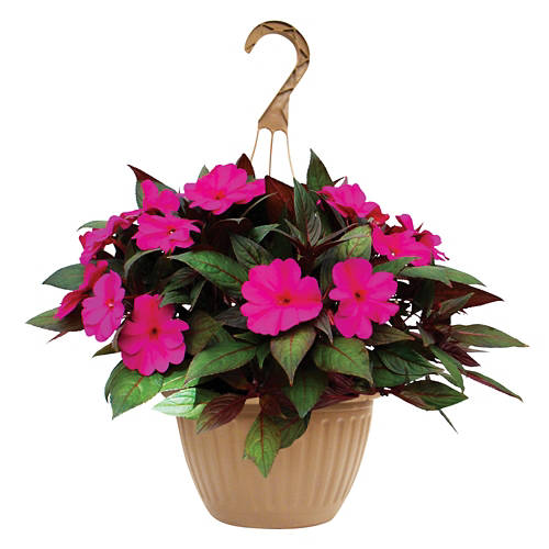  Product Image Front shot 03