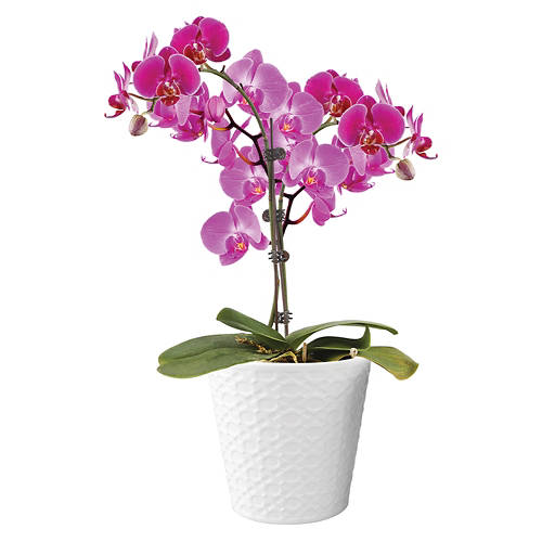  Product Image Front shot 04
