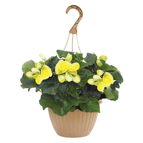  Product Image Front shot 04