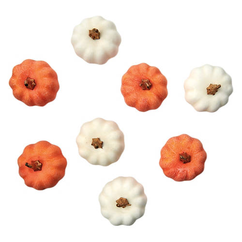 8 Piece Pumkin Bowl Fillers