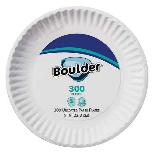 9"  Uncoated Paper Plate, 300 count