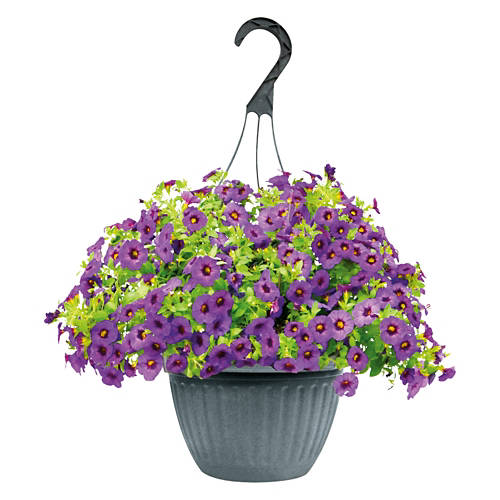  Product Image Front shot 02