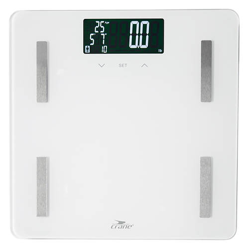 Body Fat Scale, White