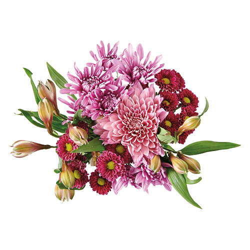 Celebration Flower Bouquet - Assorted Color Product Image Front shot 01