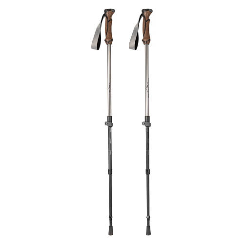 Cork Trekking Poles, Grey