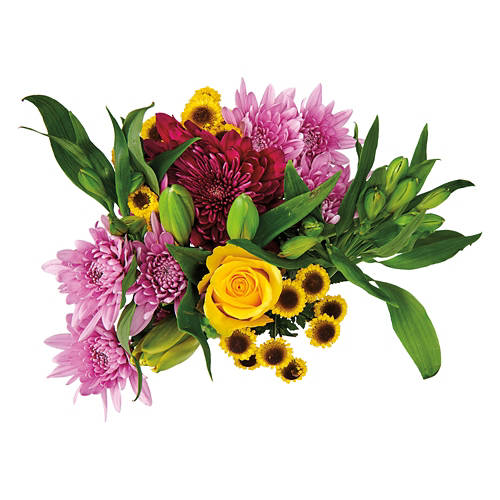  Product Image Front shot 03