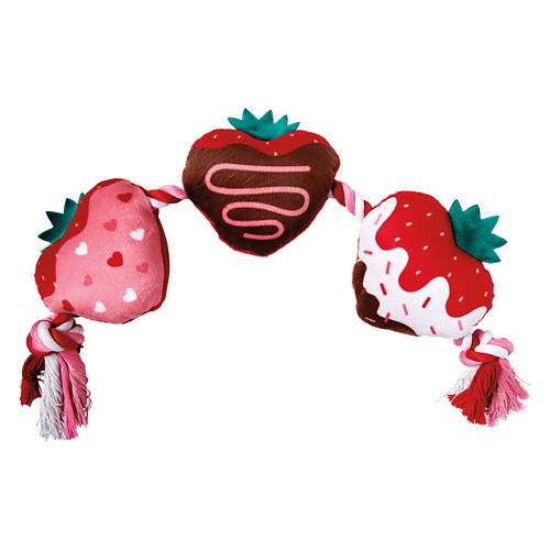 Valentine's Day Dog Plush Toy - Chocolate Strawberries Rope