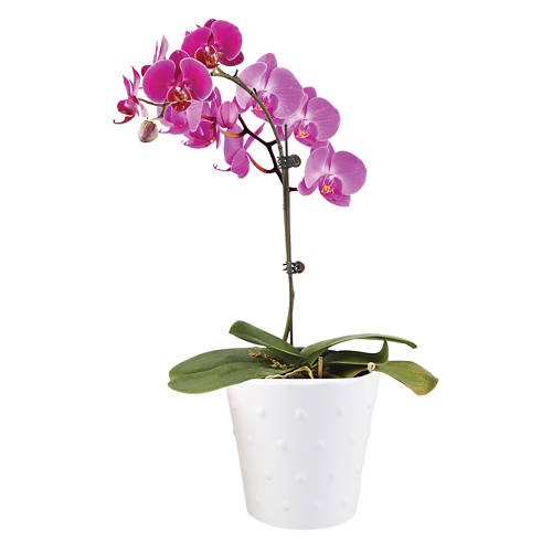  Product Image Front shot 05