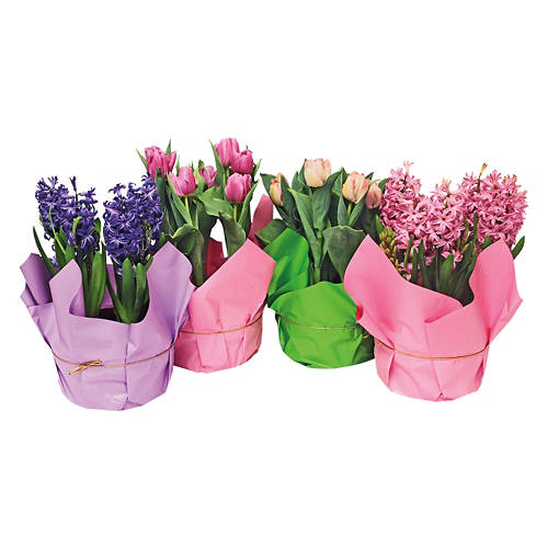  Product Image Group 01