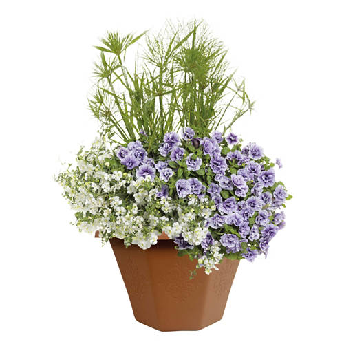  Product Image Front shot 02