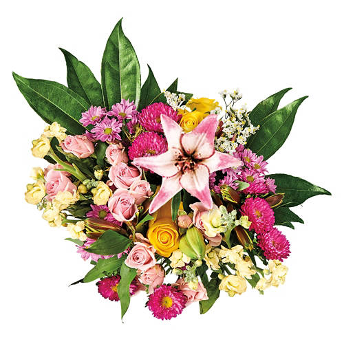 Product Image Front shot 03